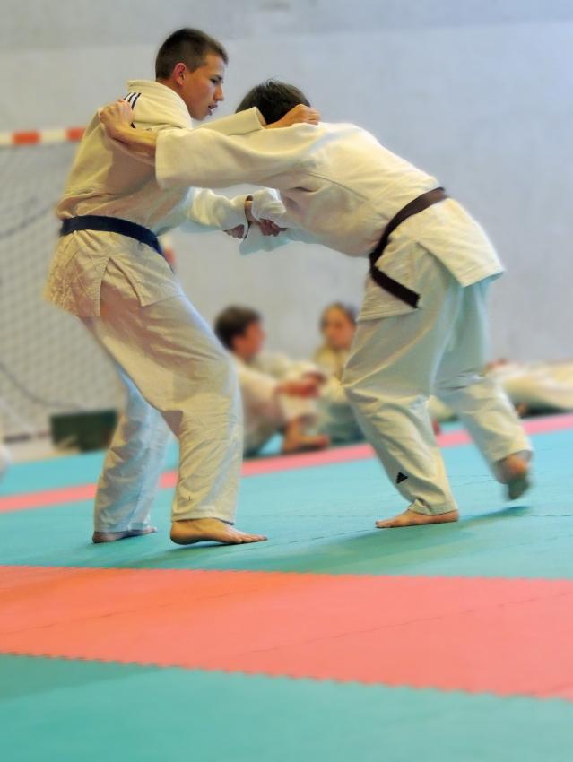 Randori Judoka